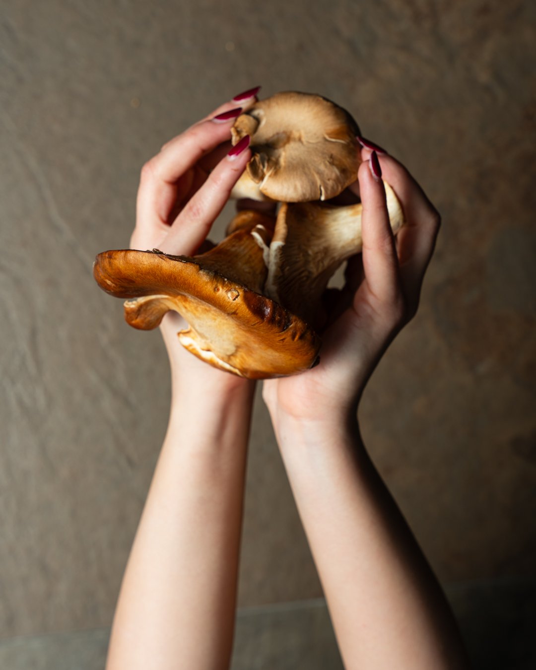Composizione gastronomica per Sabìa Restaurant, Gela — COCO Visual Lab